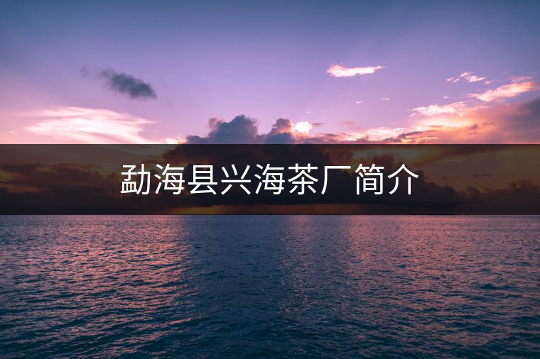 勐?？h興海茶廠簡介