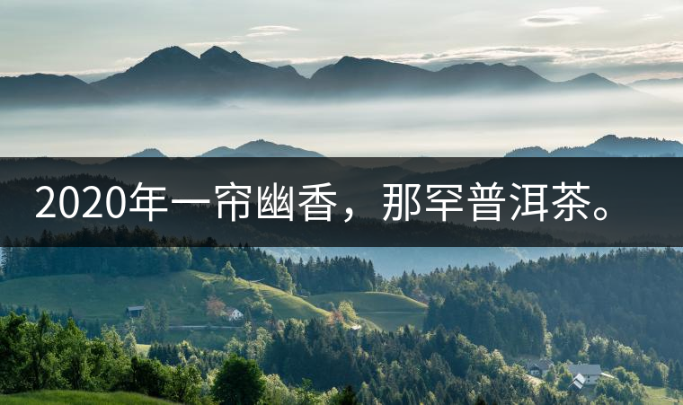2020年一簾幽香，那罕普洱茶。-易武中聘號