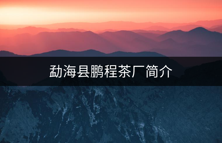 勐?？h鵬程茶廠簡介