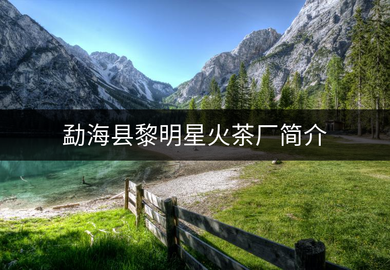 勐海縣黎明星火茶廠簡介 勐海縣黎明星火茶廠簡介