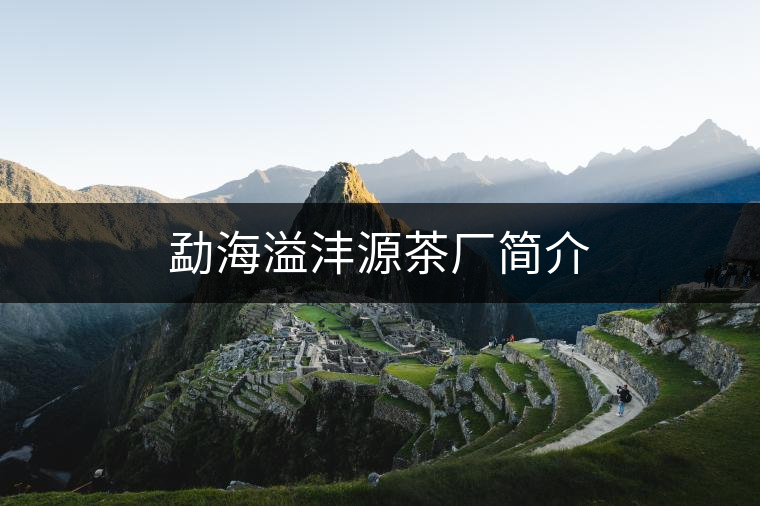 勐海溢灃源茶廠簡(jiǎn)介
