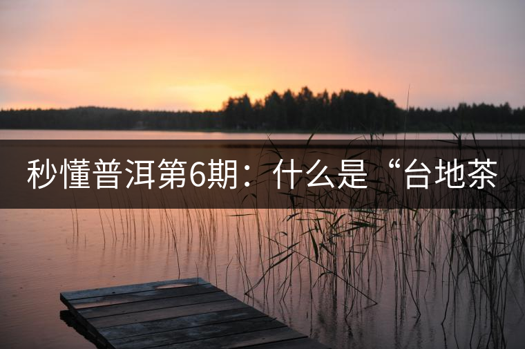 秒懂普洱第6期：什么是“臺地茶”？