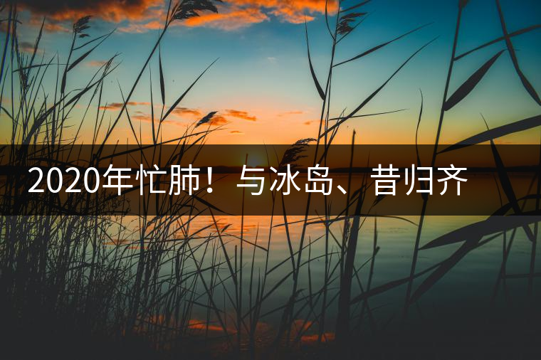 2020年忙肺！與冰島、昔歸齊名的普洱茶，到底是什么味道？-易武中聘號