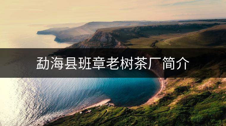 勐海縣班章老樹茶廠簡(jiǎn)介
