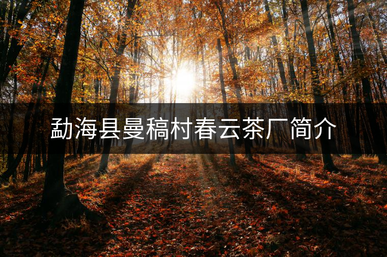 勐海縣曼稿村春云茶廠簡介