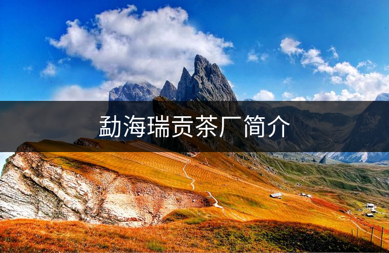 勐海瑞貢茶廠簡介 勐海瑞貢茶廠簡介