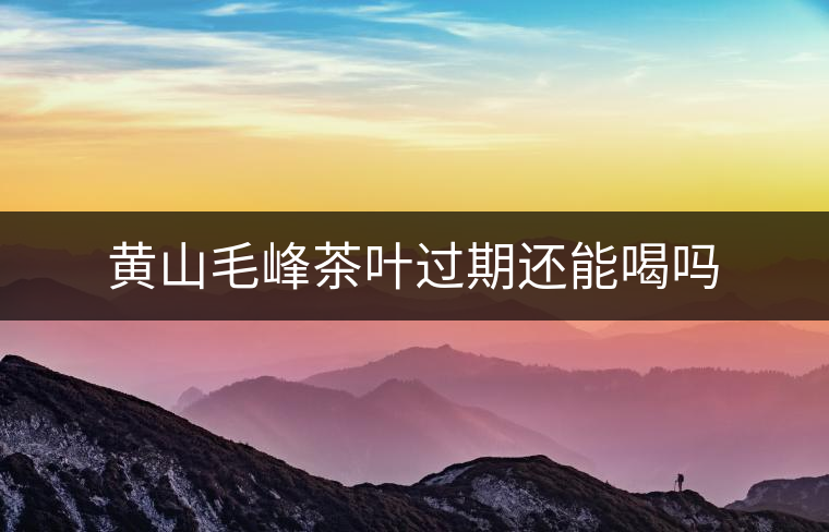 黃山毛峰茶葉過期還能喝嗎
