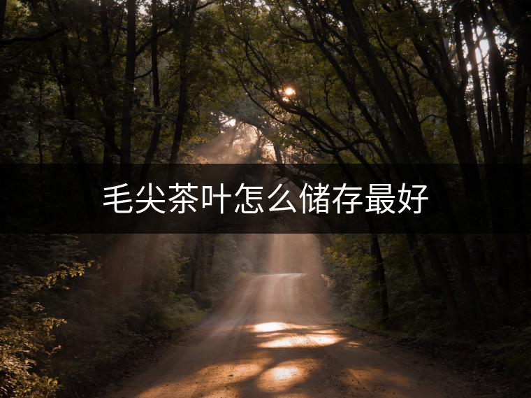 毛尖茶葉怎么儲存最好 毛尖茶葉怎么儲存最好