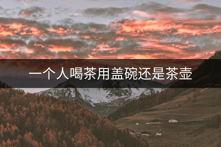 一個人喝茶用蓋碗還是茶壺