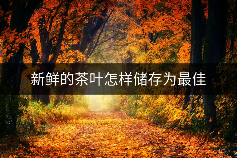 新鮮的茶葉怎樣儲存為最佳