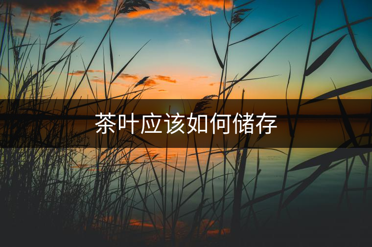 茶葉應(yīng)該如何儲存