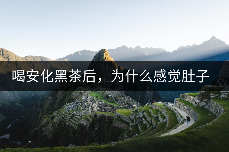 喝安化黑茶后，為什么感覺肚子餓的快？