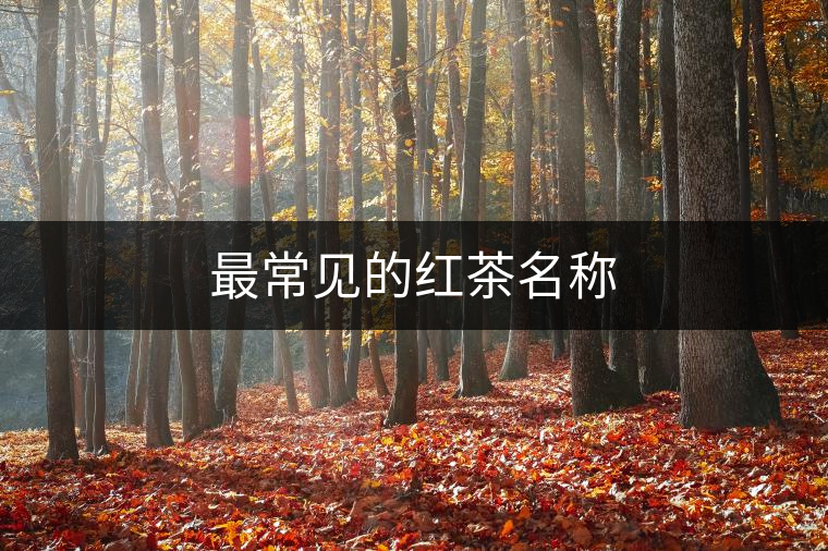 最常見的紅茶名稱