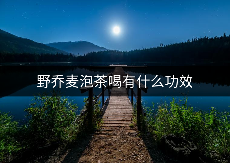 野喬麥泡茶喝有什么功效