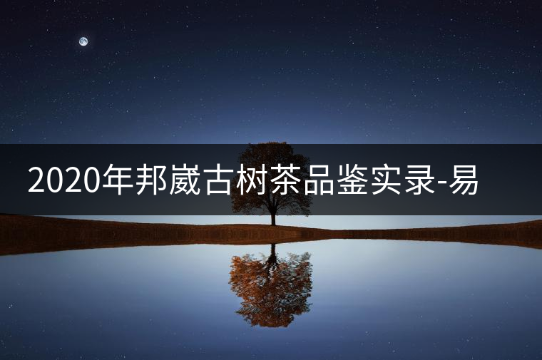 2020年邦崴古樹(shù)茶品鑒實(shí)錄-易武中聘號(hào)