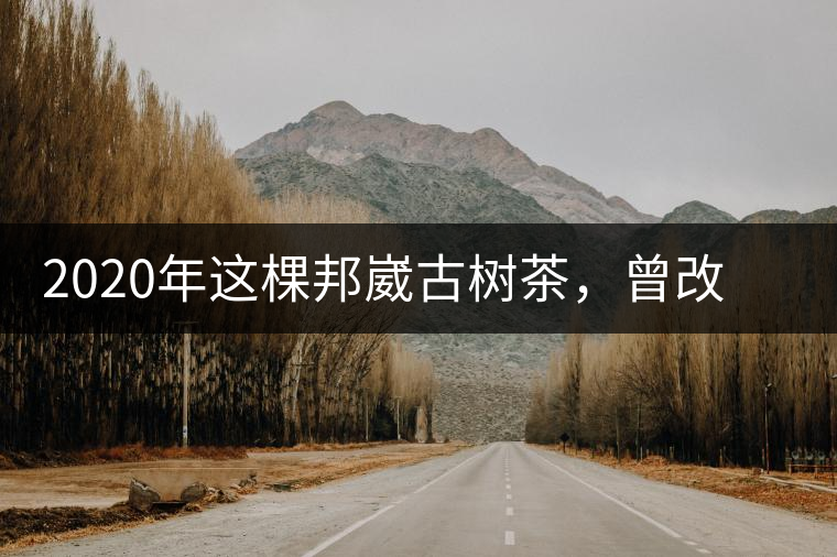 2020年這棵邦崴古樹茶，曾改寫普洱茶歷史！-易武中聘號