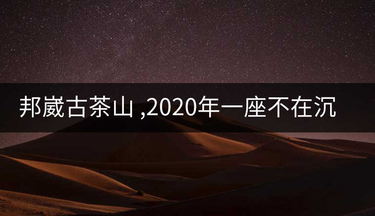 邦崴古茶山 ,2020年一座不在沉默的古茶山 !-易武中聘號