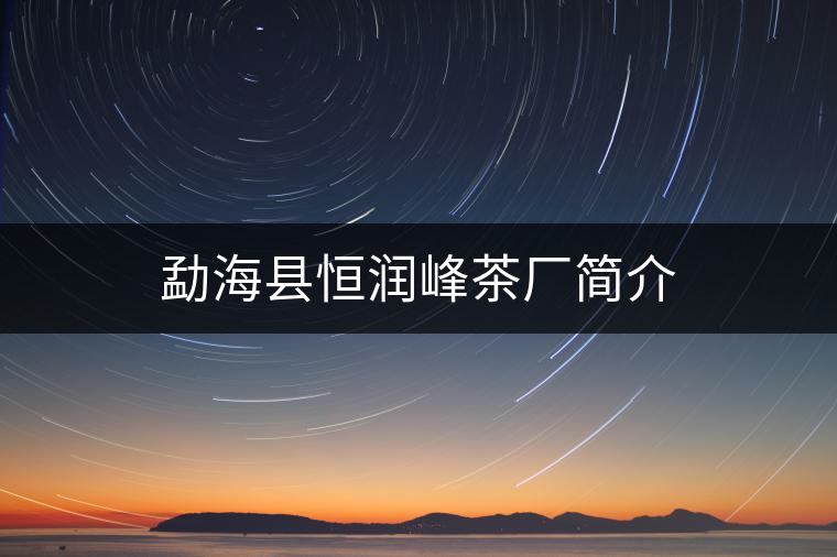 勐?？h恒潤峰茶廠簡介