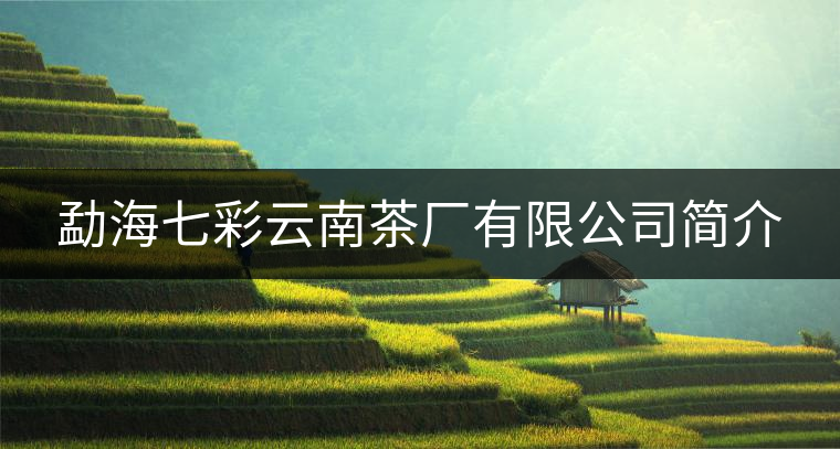 勐海七彩云南茶廠有限公司簡介 勐海七彩云南茶廠有限公司簡介