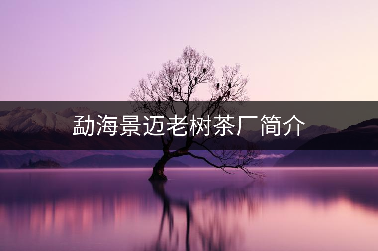 勐海景邁老樹茶廠簡介 勐海景邁老樹茶廠簡介
