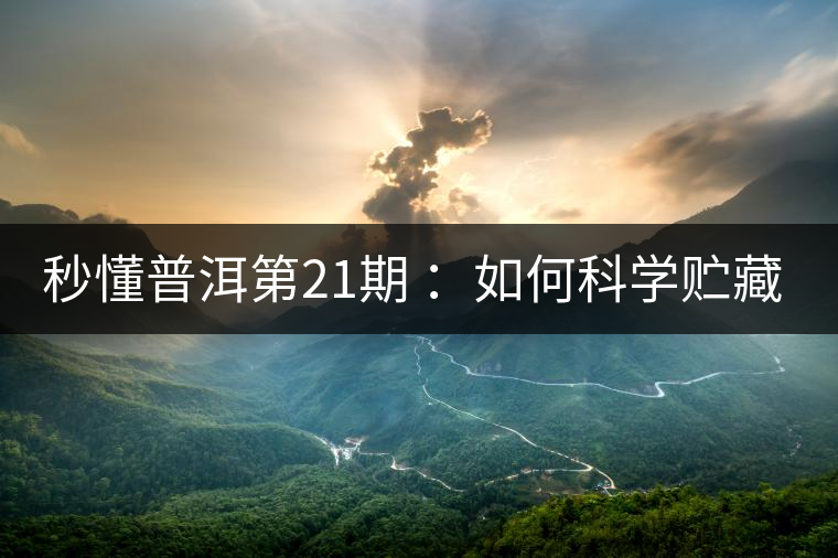 秒懂普洱第21期 ：如何科學(xué)貯藏普洱茶？