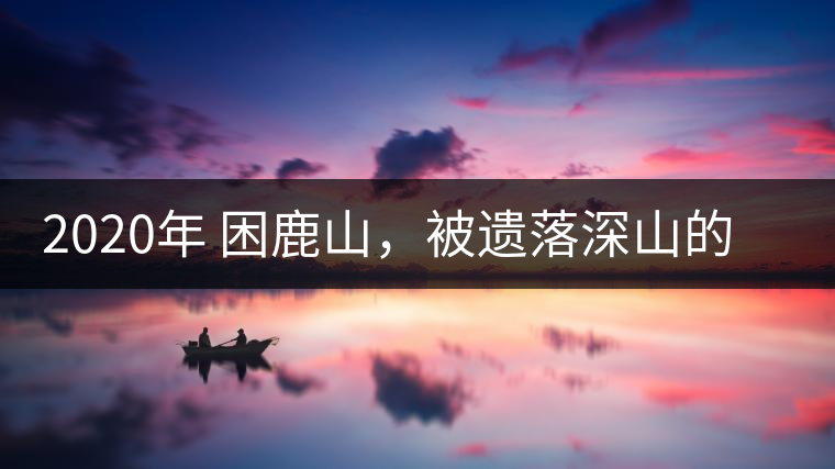 2020年 困鹿山，被遺落深山的皇家古茶園-易武中聘號(hào)