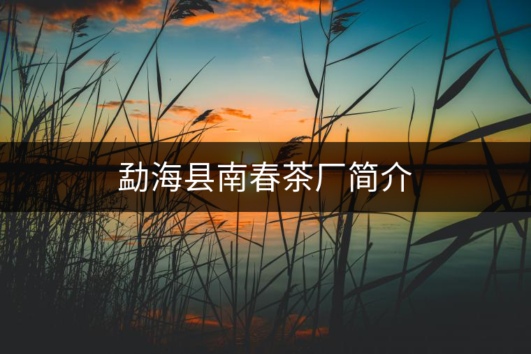 勐??h南春茶廠簡介 勐海縣南春茶廠簡介