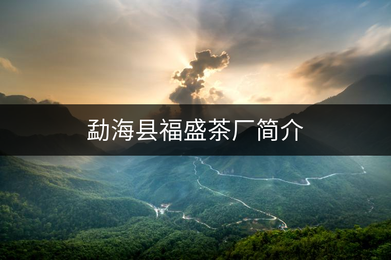 勐?？h福盛茶廠簡介