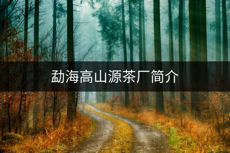 勐海高山源茶廠簡介