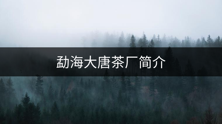 勐海大唐茶廠簡介 勐海大唐茶廠簡介