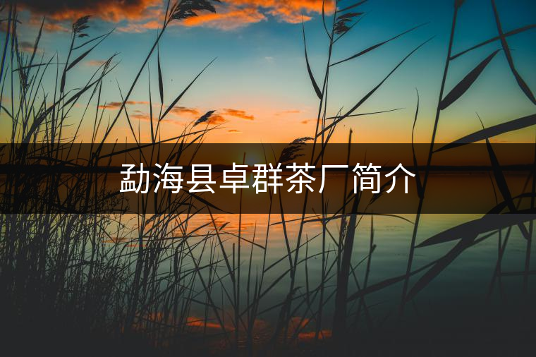 勐?？h卓群茶廠簡介