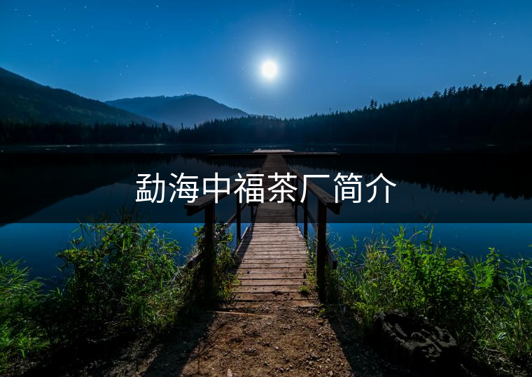 勐海中福茶廠簡介 勐海中福茶廠簡介