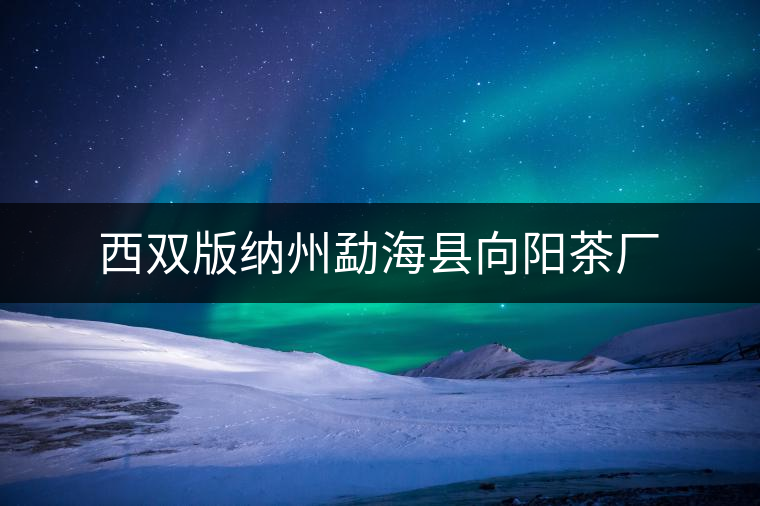 西雙版納州勐?？h向陽(yáng)茶廠