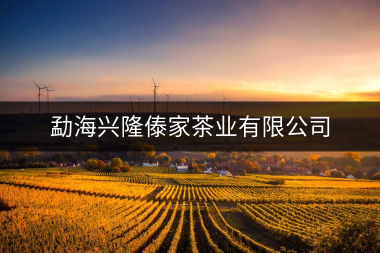 勐海興隆傣家茶業(yè)有限公司