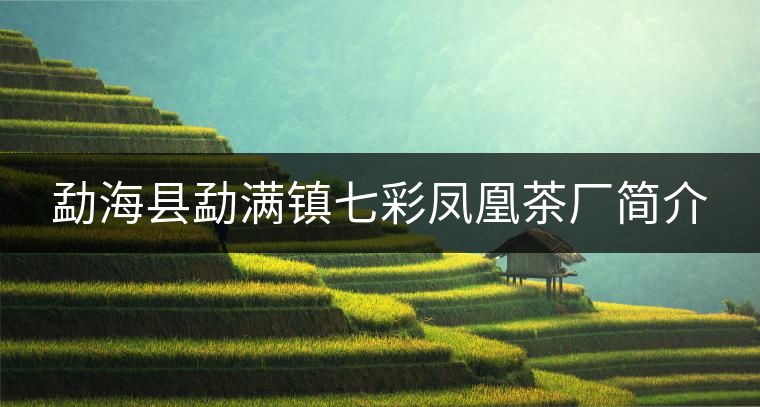勐?？h勐滿鎮(zhèn)七彩鳳凰茶廠簡(jiǎn)介