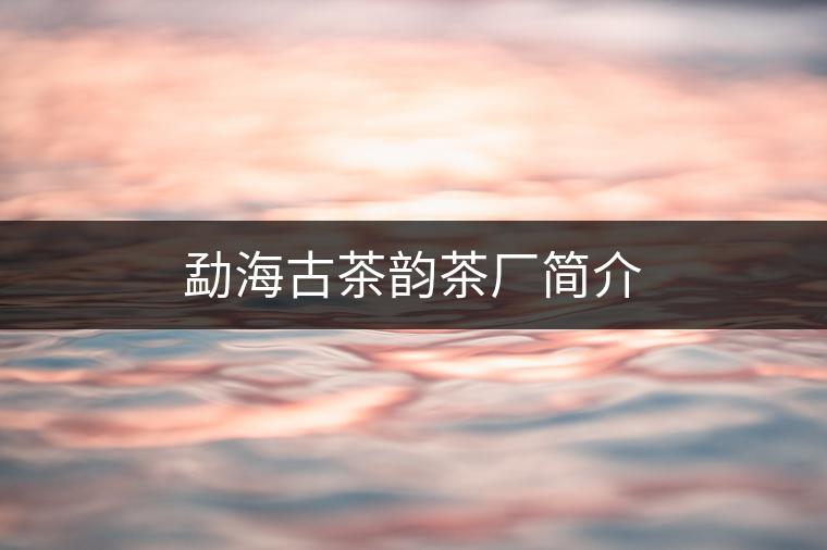 勐海古茶韻茶廠簡介 勐海古茶韻茶廠簡介