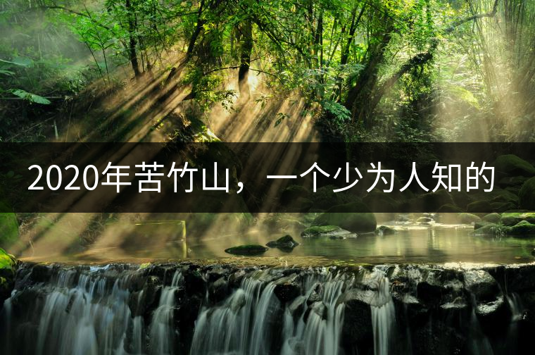 2020年苦竹山，一個(gè)少為人知的后起之秀！-易武中聘號(hào)