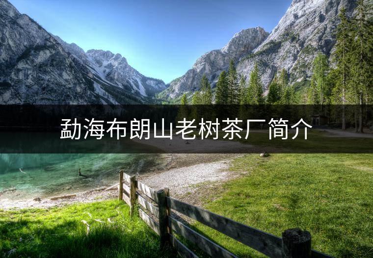 勐海布朗山老樹(shù)茶廠簡(jiǎn)介