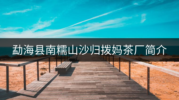 勐?？h南糯山沙歸撥媽茶廠簡介