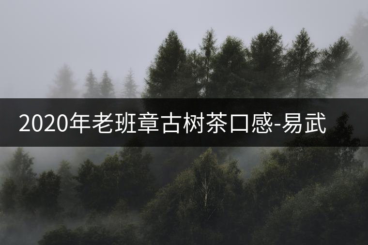 2020年老班章古樹茶口感-易武中聘號(hào)