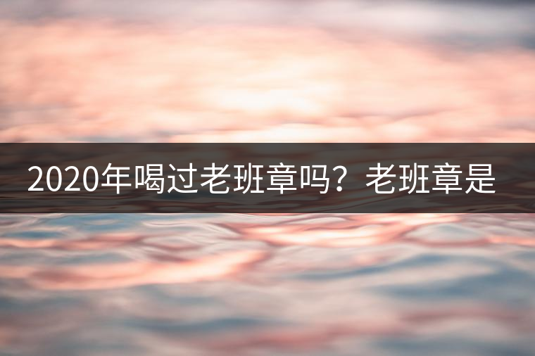 2020年喝過老班章嗎？老班章是什么味道？-易武中聘號