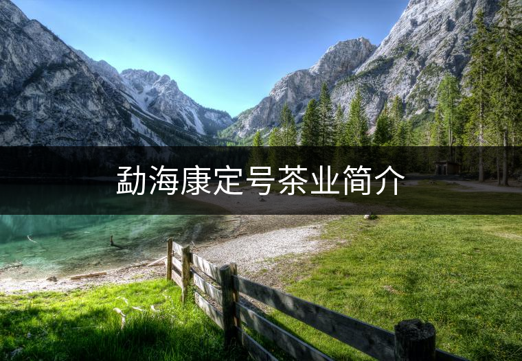 勐??刀ㄌ柌铇I(yè)簡介 勐海康定號茶業(yè)簡介