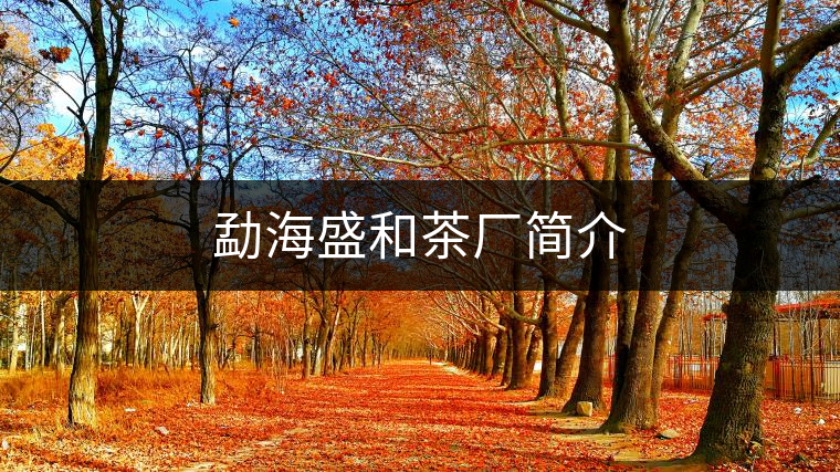 勐海盛和茶廠簡介