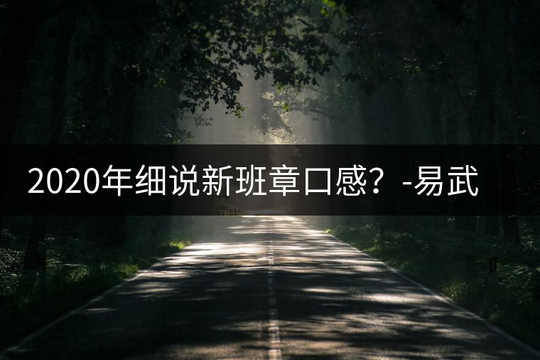 2020年細(xì)說新班章口感？-易武中聘號