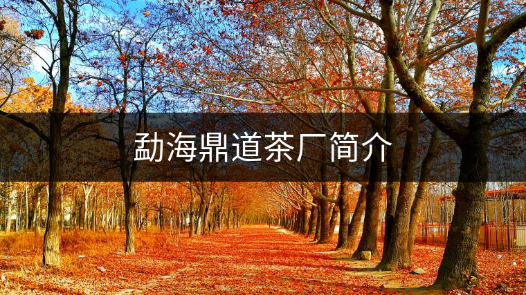 勐海鼎道茶廠簡(jiǎn)介