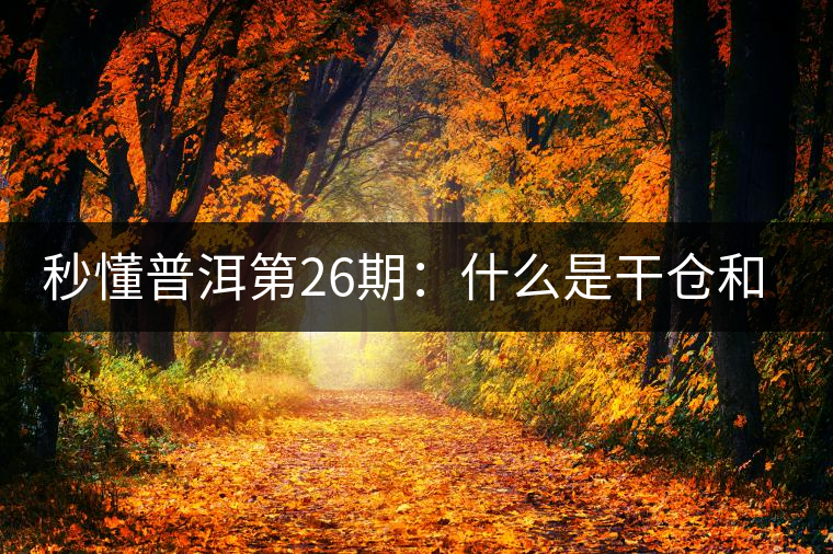 秒懂普洱第26期：什么是干倉和濕倉？