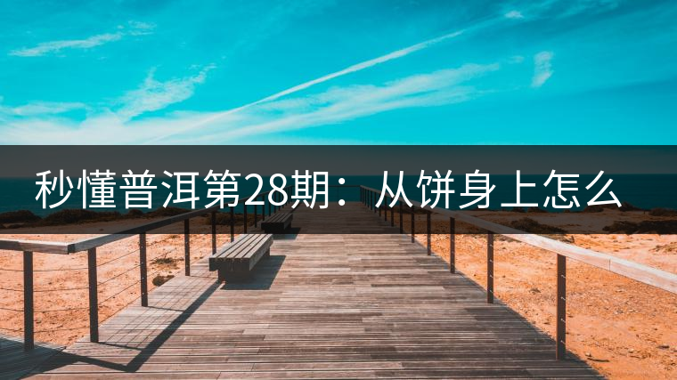 秒懂普洱第28期：從餅身上怎么辨識干倉與濕倉 普洱茶？