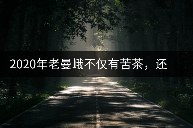 2020年老曼峨不僅有苦茶，還有甜茶你知道嗎？-易武中聘號