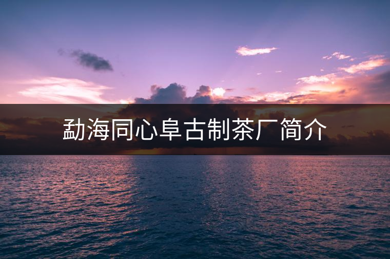 勐海同心阜古制茶廠簡介