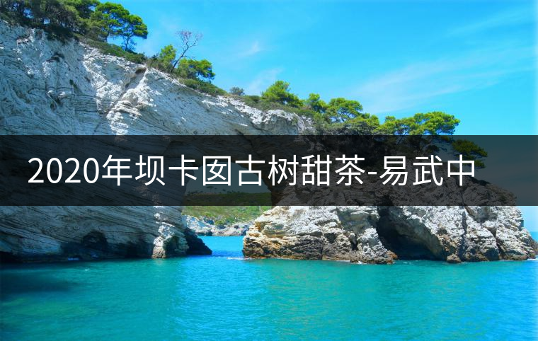2020年壩卡囡古樹甜茶-易武中聘號